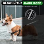 30FT Retractable Dog Leash 30 FT，360° Tangle-Free Dog Walking Leash forMedium and Large Dogs up to 77 lbs one-Hand Brake, one-Button Pause, Lock（Green） - Image 5
