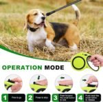 30FT Retractable Dog Leash 30 FT，360° Tangle-Free Dog Walking Leash forMedium and Large Dogs up to 77 lbs one-Hand Brake, one-Button Pause, Lock（Green） - Image 6