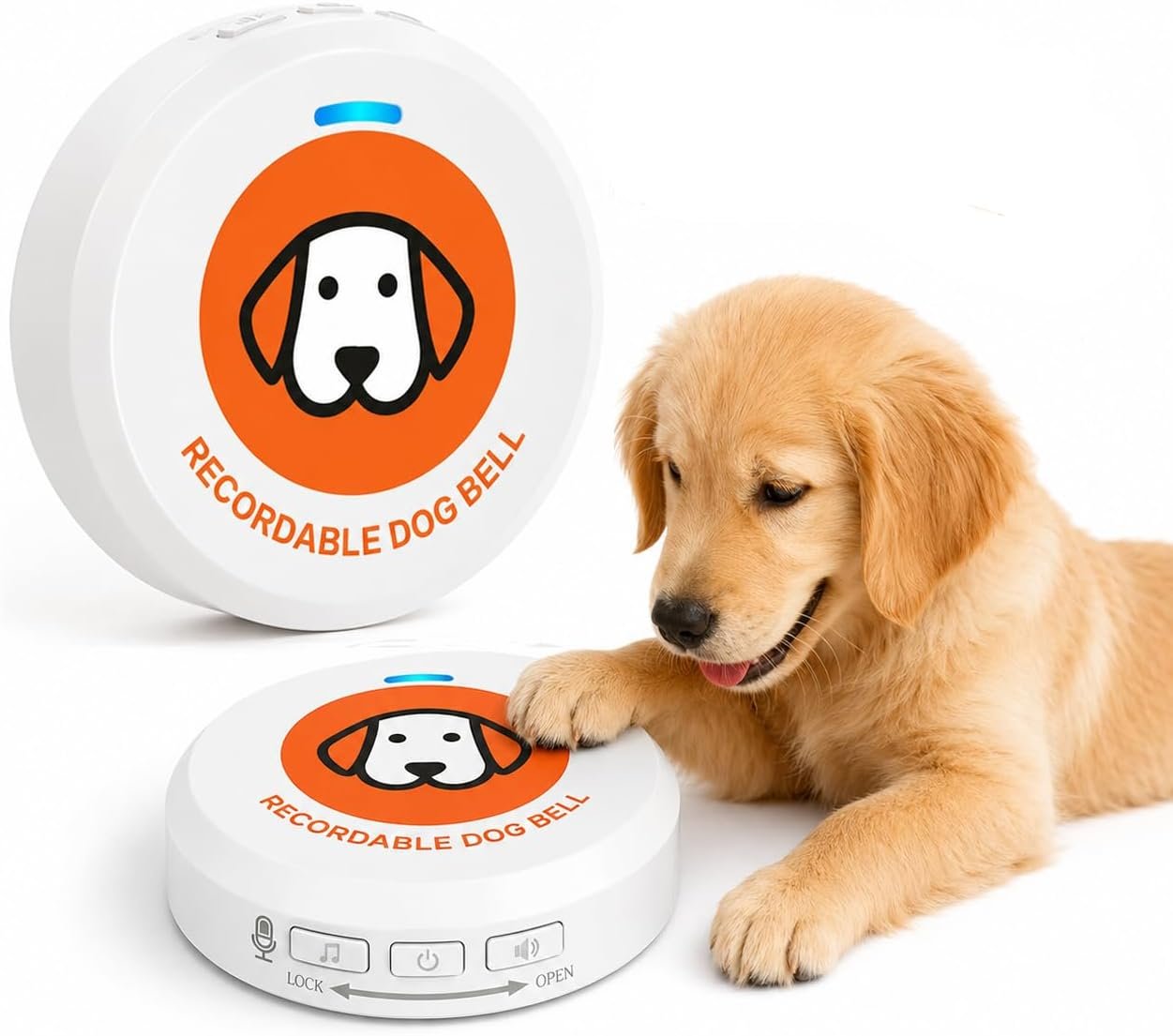 ChunHee Recordable Dog Doorbell – Train Your Dog with Your Own Voice, Puppy Potty Training Bell for Dogs to Go Outside, Touch Activated Dog Button with Potty & Outside Sounds ChunHee Recordable Dog Doorbell – Train Your Dog with Your Own Voice, Puppy Potty Training Bell for Dogs to Go Outside, Touch Activated Dog Button with Potty & Outside Sounds