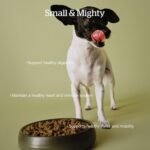 Now Fresh Small Breed Senior Dry Dog Food, Turkey, Salmon & Duck, 12 lb - Image 3