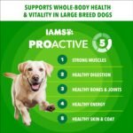 IAMS Proactive Health Large Breed Dry Dog Food, Chicken, 30 lb - Image 3
