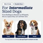 Midwest 36-Inch Double Door iCrate, for Medium-Large Breeds, 41-70 lbs - Image 2
