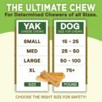 EcoKind Yak Cheese Himalayan Dog Chews, Yak Chews for Large Dogs, 4-5 Bones - Image 4