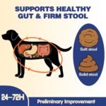 Dog Probiotics & Prebiotics - Advanced Digestive Enzymes - Image 3
