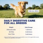 Dog Probiotics & Prebiotics - Advanced Digestive Enzymes - Image 6