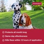 K9 Advantix II Flea & Tick Topical for Large Dogs 21–55 lbs., 4ct - Image 3