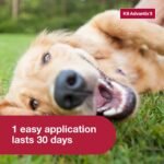 K9 Advantix II Flea & Tick Topical for Large Dogs 21–55 lbs., 4ct - Image 5