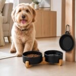 Petygooing Ceramic Dog Cat Bowls Set with Stand,Black Pet Food and Water Bowl,Small Dog Bowls Cute Modern Anti Slip Set of 2 Pet Feeder Small Size Pet Dish(13.5OZ/5.1 in) - Image 5