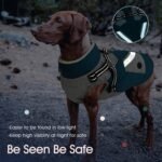 IECOii Dog Winter Coat with Harness Built in,Waterproof Windproof Dog Coats - Image 4