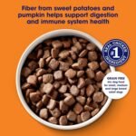 Nature's Recipe Grain Free Chicken Dry Dog Food, 24 lb. Bag - Image 3