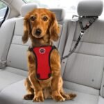 SlowTon Dog Seat Belt for Car, 2 Pack Dog Car Harness Seatbelt with Bungee - Image 5