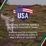 VICTOR Hi-Pro Plus Dry Dog Food - High Protein Gluten Free Dry Kibble, 30lb - Image 10