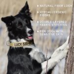 Personalized Cotton Hemp Dog Collar, Embroidered with Pet Name and Number - Image 5