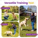Karen Pryor Clicker Training Lollipop Target Stick - Perfect for Teaching Tricks, Behaviors & Focus with Irresistible Target - Fun & Effective Dog Training Stick with Translucent Handle - 14”, Purple - Image 5