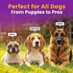Karen Pryor Clicker Training Lollipop Target Stick - Perfect for Teaching Tricks, Behaviors & Focus with Irresistible Target - Fun & Effective Dog Training Stick with Translucent Handle - 14”, Purple - Image 6