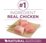 Purina ONE Plus Healthy Puppy Dry Food, Chicken, 8 lb Bag - Image 3