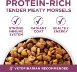 Purina ONE Plus Healthy Puppy Dry Food, Chicken, 8 lb Bag - Image 7