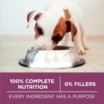 Purina ONE Plus Healthy Puppy Dry Food, Chicken, 8 lb Bag - Image 8