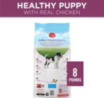 Purina ONE Plus Healthy Puppy Dry Food, Chicken, 8 lb Bag - Image 9
