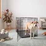 Amazon Basics Portable Metal Wire Dog Crate for Large Dogs, Double Door with Removable Tray, Divider Panel, Easy to Assemble, 48" x 30" x 32.5", Black - Image 5