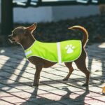 Geyoga 2 Pcs Reflective Dog Vest Adjustable Safety Vest,L,Orange, Yellow - Image 5