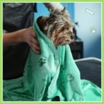 Chumia 8 Pcs Dog Towel for Drying, 40 x 24 Inch, Dog Paw and Bone, Colorful - Image 7
