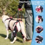 Dog ACL CCL Knee Brace for Large Dogs, Set of 2 Hind Leg Braces with Handles & Shoulder Strap – Non-Slip Support for Injury, Arthritis & Post-Surgery Recovery, Black, Large - Image 4