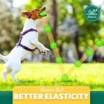 PUPTILY 2 Different Functions Interactive Ball for Dogs 2.5” Squeaky Dog Balls Toys and Puppy Teething Chew Toy Balls for Small Dogs for Clean Teeth and Training （5Pcs） - Image 7