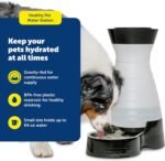 PetSafe Healthy Pet Water Station, 64 oz, Stainless Steel Bowl, Small - Image 3