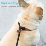 MayPaw Slip Lead Dog Leash 7ft x 1/4" Rope Control Leash for Dogs No Pull - Image 4