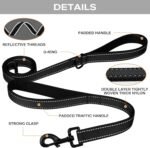 Joytale Dog Leash for Large Dogs that Pull, Double Handle, 6FT, Black - Image 3