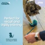 Coachi Puppy & Mini Chase & Treat - Great for Play and Chase - Image 3