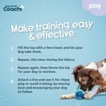 Coachi Puppy & Mini Chase & Treat - Great for Play and Chase - Image 5