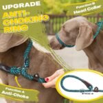 Fida Durable Slip Lead Dog Leash, 6 FT x 3/8" Dog Training Leash, Blue - Image 3