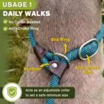 Fida Durable Slip Lead Dog Leash, 6 FT x 3/8" Dog Training Leash, Blue - Image 4