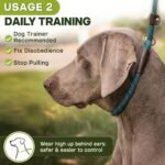 Fida Durable Slip Lead Dog Leash, 6 FT x 3/8" Dog Training Leash, Blue - Image 5