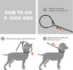 Fida Durable Slip Lead Dog Leash, 6 FT x 3/8" Dog Training Leash, Blue - Image 6