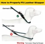 Fida Durable Slip Lead Dog Leash, 6 FT x 3/8" Dog Training Leash, Blue - Image 8