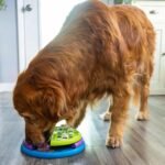 Outward Hound Nina Ottosson Lickin’ Layers 3-in-1 Dog Toy Treat Puzzle, 10" - Image 8