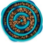 Outward Hound Fun Feeder Slo Bowl Dog Slow Feeder, Drop, Turquoise, 8.8″