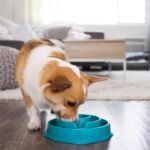 Outward Hound Fun Feeder Slo Bowl Dog Slow Feeder, Drop, Turquoise, 8.8" - Image 6