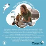 Company of Animals Coachi Whizzclick | Light Blue/Navy Button - Image 7