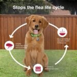 K9 Advantix II Flea & Tick Topical for Medium Dogs 11–20 lbs., 2ct - Image 6