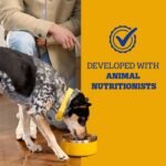 Pedigree Adult Complete Nutrition Dry Dog Food, Chicken & Vegetable, 18 lb - Image 6