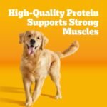 Pedigree Adult Complete Nutrition Dry Dog Food, Chicken & Vegetable, 18 lb - Image 7