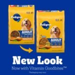 Pedigree Adult Complete Nutrition Dry Dog Food, Chicken & Vegetable, 18 lb - Image 8