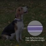 Reflective Dog Collar, Adjustable Nylon for Medium Dogs,Purple - Image 5