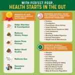 Perfect Poop Digestion & General Health Supplement for Dogs: Fiber, Prebiotics, Probiotics & Enzymes Relieve Digestive Conditions, Optimize Stool, and Improve Health (Cheddar Cheese, 12.8 oz) - Image 3