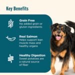 Nutrish Grain Free Salmon Dry Dog Food, 11.5 lb. Bag (Rachael Ray) - Image 3