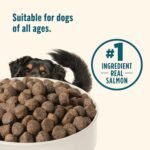 Nutrish Grain Free Salmon Dry Dog Food, 11.5 lb. Bag (Rachael Ray) - Image 5